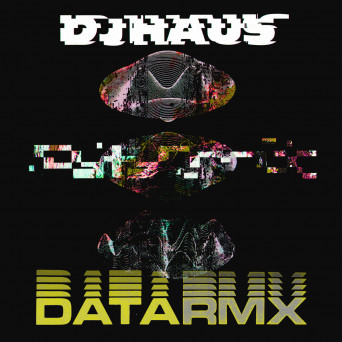 DJ Haus – Data Remixes