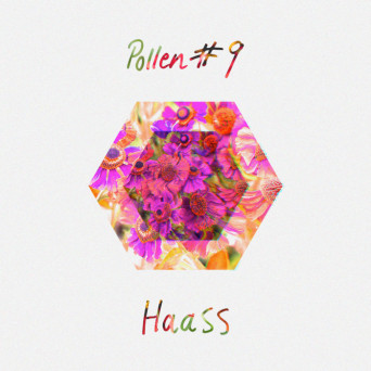 Haass – POLLEN #9