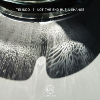 Temudo – Not The End But A Change
