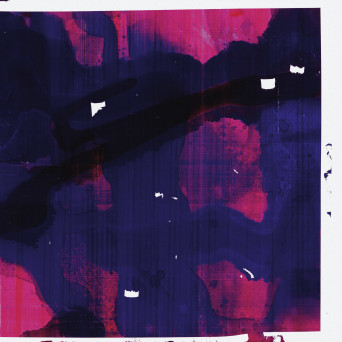 L/F/D/M – Mutual Autopsy
