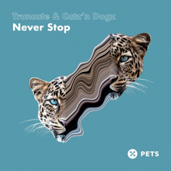 Catz ‘n Dogz & Truncate – Never Stop