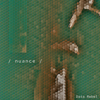 Data Rebel – Nuance