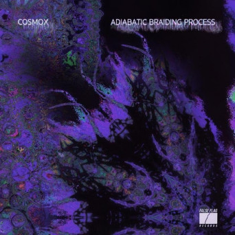 cosmox – Adiabatic Braiding Process