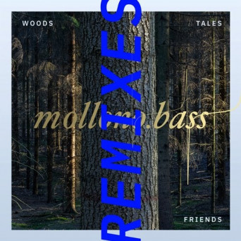 VA – Woods, Tales & Friends Remixes – Part Two