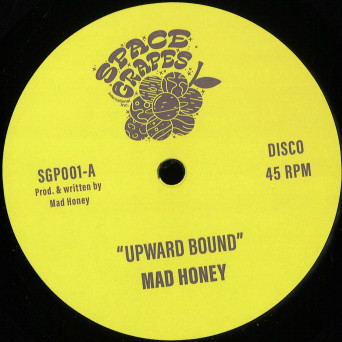 Mad Honey ‎– Upward Bound / Treasure Every Sunset