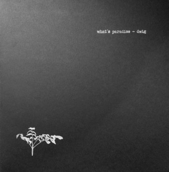 Dwig – What’s Paradise