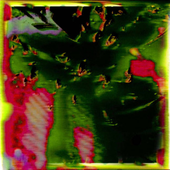 404 – Torpid
