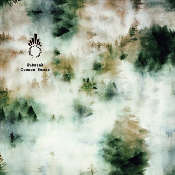 Substak – Common Sense