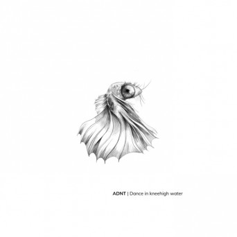 ADNT, Raadsel & Thoda – Dance in Knee High Water