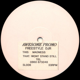 Freestyle / DJR ‎– Madness / Wont Stand Still [VINYL]