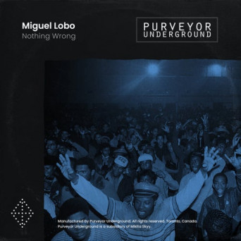 Miguel Lobo – Nothing Wrong [AIFF]