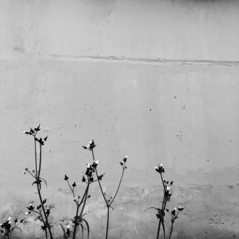 Cetculescu – Afters Are Strange EP