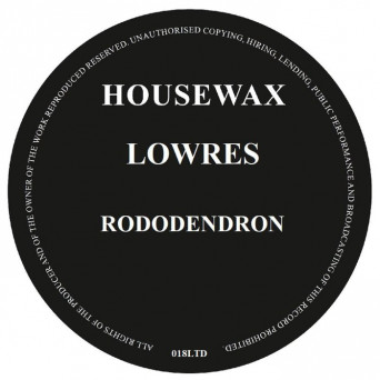 Lowres – Rododendron