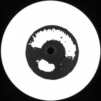 VA – DAILYCID011 [VINYL]