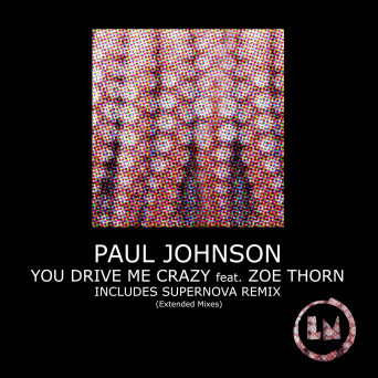 Paul Johnson, Zoe Thorn – You Drive Me Crazy