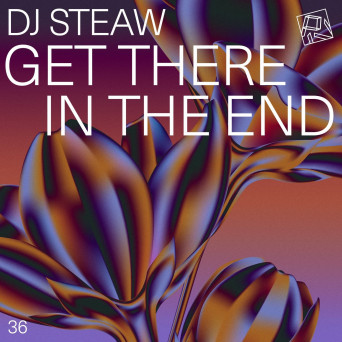 DJ Steaw – Get There In The End