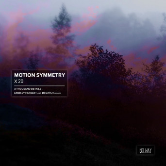 Motion Symmetry – X 20