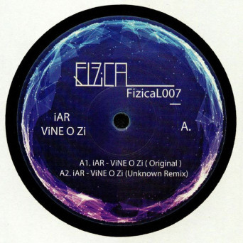 iAR ‎– ViNE O Zi [VINYL]