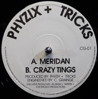 Phyzix + Tricks  ‎– Meridan  Crazy Tings [VINYL]