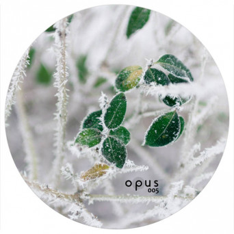 VA – Various Artists V05 [OPUS005]