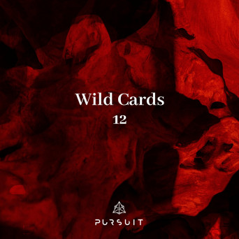 VA – Wild Cards 12