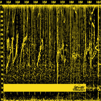 VA – Spectrogram