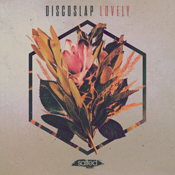 Discoslap – Lovely