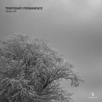 Temporary Permanence – Modur EP