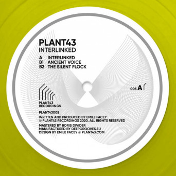 Plant43 – Interlinked