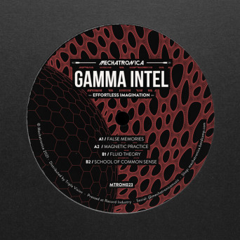 Gamma Intel – Effortless Imagination