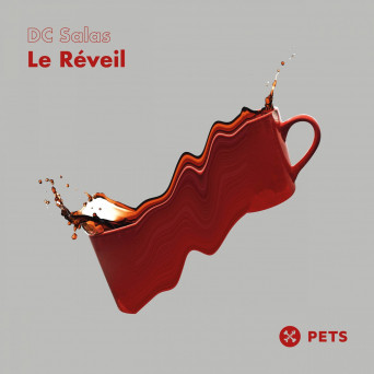 DC Salas – Le Réveil