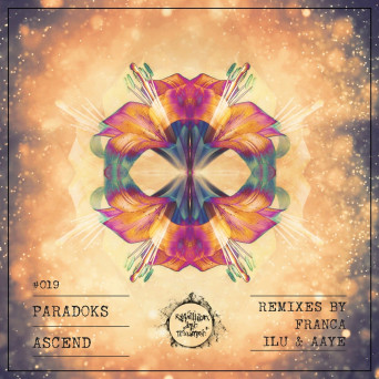 Paradoks – Ascend