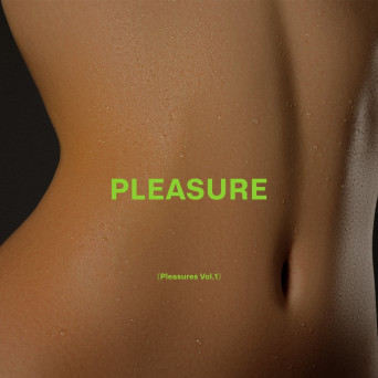 1991 – Pleasure