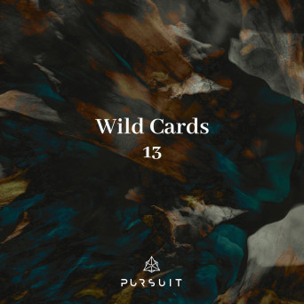 VA – Wild Cards 13