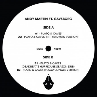 Andy Martin & Gavsborg – Plato & Caves