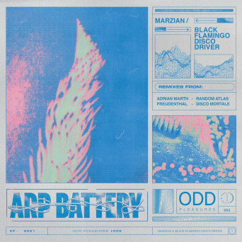 Marzian & Black Flamingo Disco Driver – Arp Battery