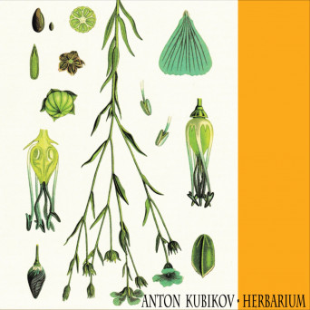 Anton Kubikov – Herbarium Part One