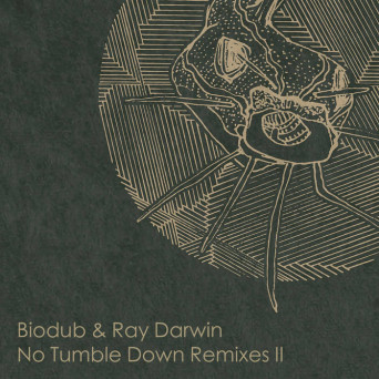 Biodub – No Tumble Down Remixes 2