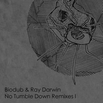 Biodub – No Tumble Down Remixes 1
