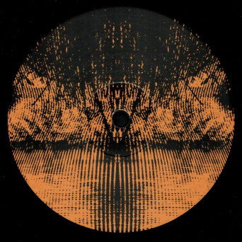 Nemo Vachez – Cyclostomes [VINYL]