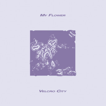 My Flower – Velcro City