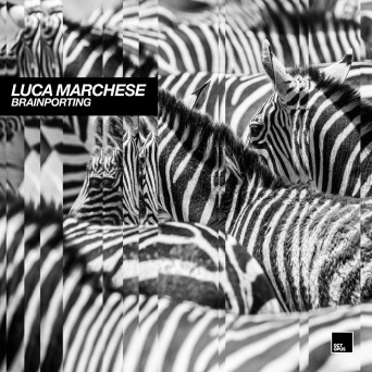 Luca Marchese – Brainporting