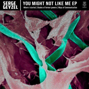 Serge Geyzel – You Might Not Like Me