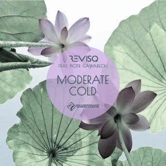 Revisq – Moderate Cold