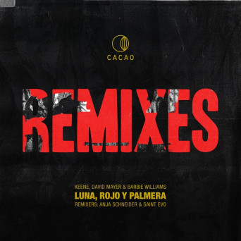 David Mayer, KEENE & Barbie Williams – Luna, Rojo & Palmera Remixes