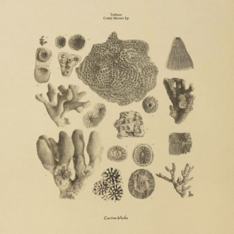 Tulbure – Codul Morsei [VINYL]