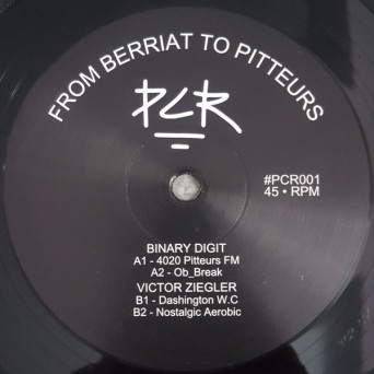 Binary Digit, Victor Ziegler – From Berriat To Pitteurs [VINYL]