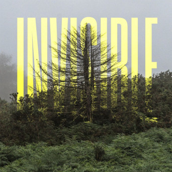Ólafur Arnalds – The Invisible EP [Hi-RES]