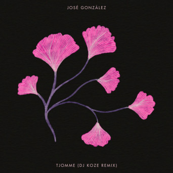 José González – Tjomme (DJ Koze Remix)