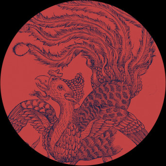 RoaЯ feat. Yaroslav Lenzyak – Logical Sequences EP [VINYL]